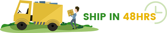 الشحن في 48 ساعة